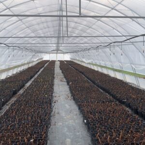 8x50 cu 2 aersiri laterale si suport cultura