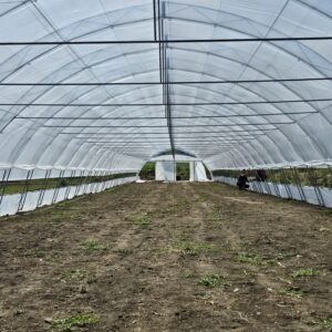 Suport Cultura * PALISARE * ( FLORI , LEGUME )