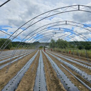 STRUCTURA SOLAR 8X20 PENTRU FOLIE DUBLA